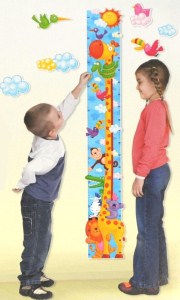 H12: Giraffe Height Chart  (Pack Size 12)